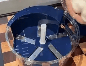 Fruit and Vegetable Peeler